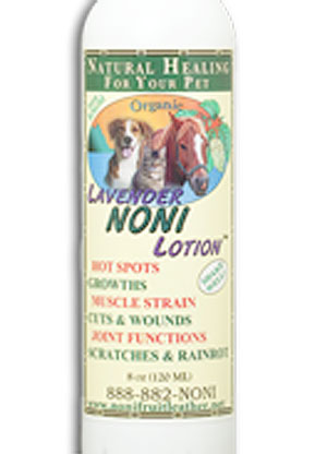 Pet HealthPets Lavender Noni Lotion 4oz