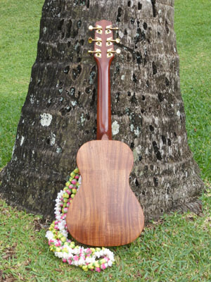 Made in HawaiiUkulele - Ka Ohana 6-string Tenor