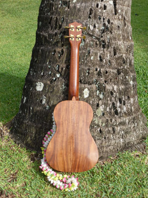 Made in Hawaii`Ukulele - Ka `Ohana Tenor