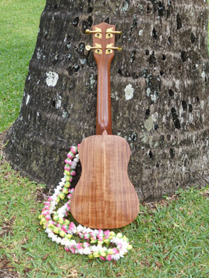 Made in HawaiiUkulele - Ka Ohana Soprano 2