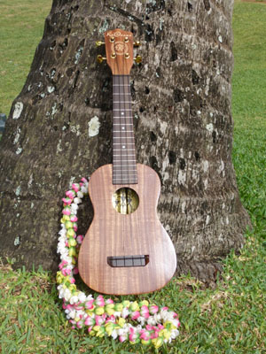 Ukulele