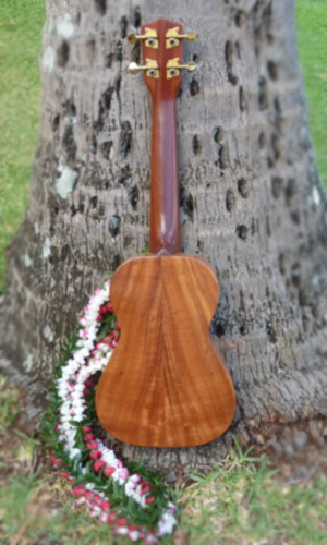 Made in HawaiiUkulele - Ka Ohana Concert