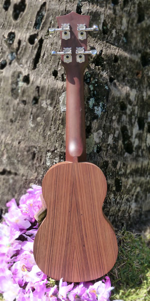 Soprano`Ukulele - Ali'i Zebrano Honu Soprano