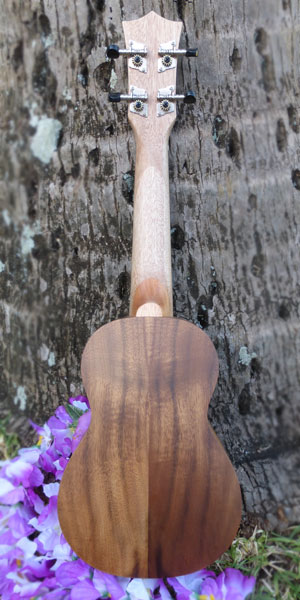 Soprano`Ukulele - Ali'i Koa Soprano